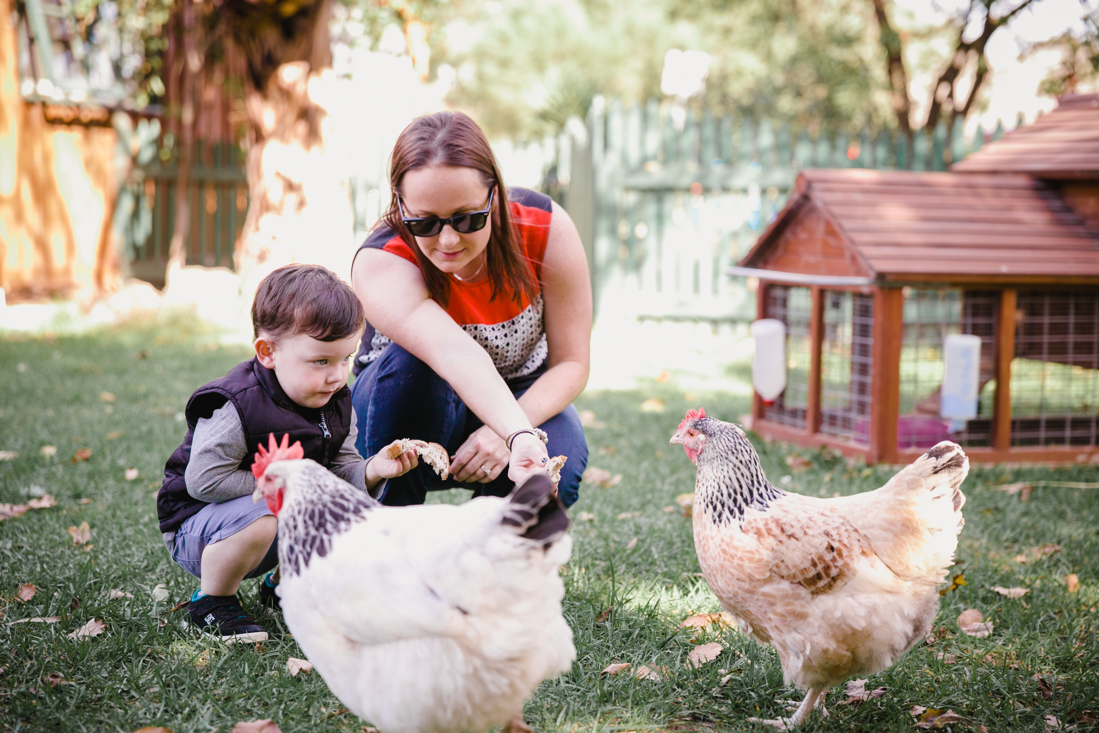 mum and son feeding chickens